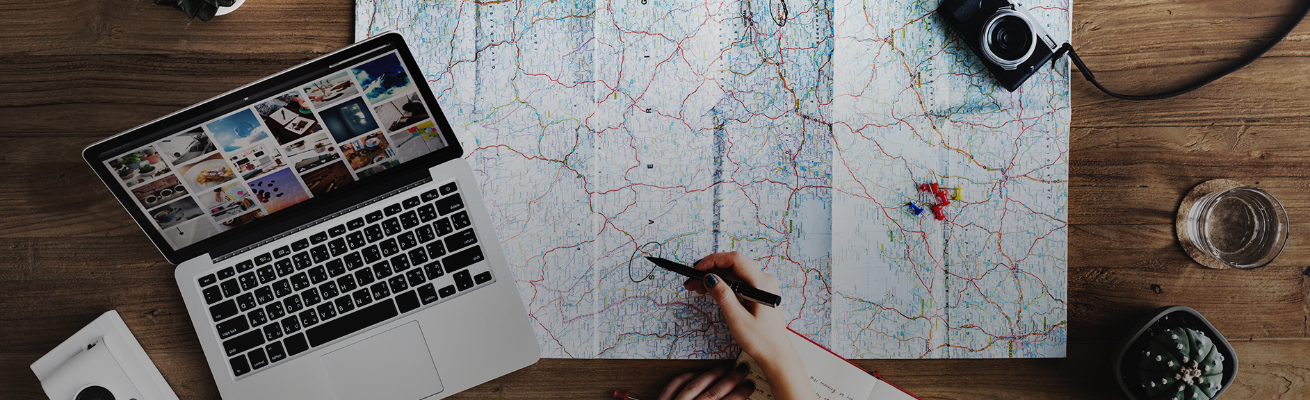 শঙ্খচিল - Shankhachil